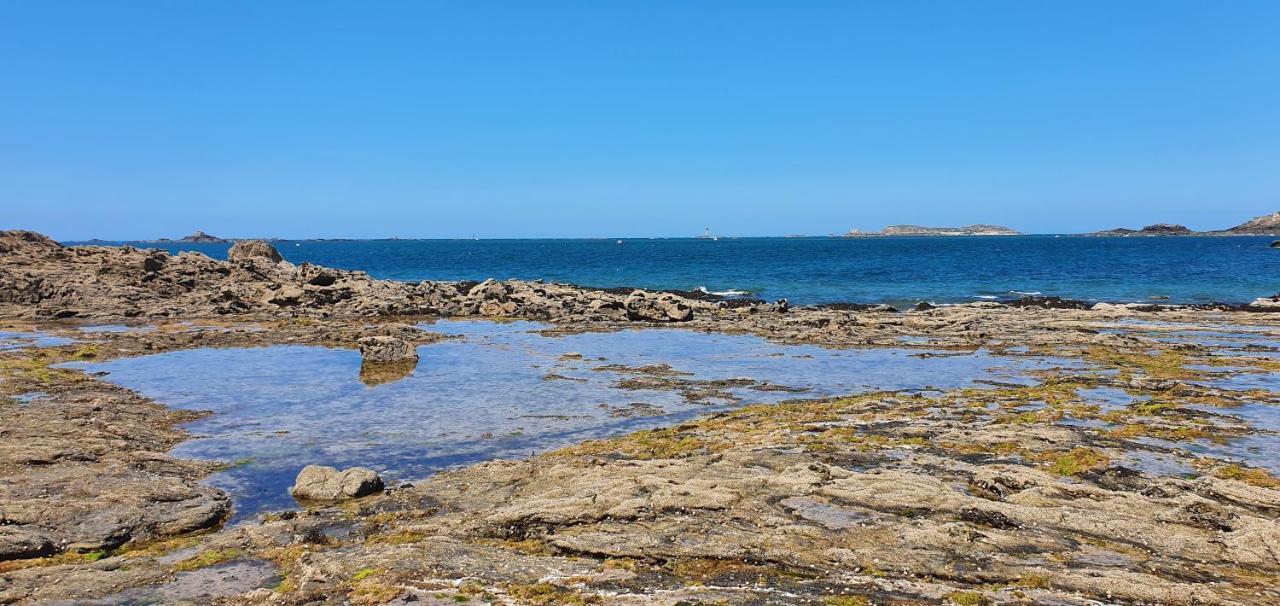 Grand Lumineux A Cote Des Plages Apartment Dinard