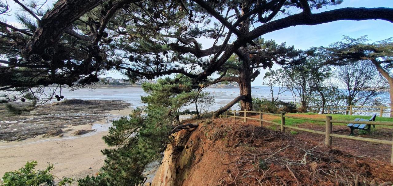 Apartment Grand Lumineux A Cote Des Plages *